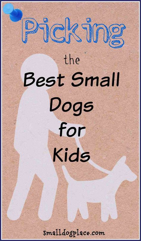 Small Dogs For Kids, Small Family Dogs, Dogs For Kids, Best Dogs For Kids, Best Small Dog Breeds, Best Small Dogs, Best Dogs For Families, Small Breed Dogs, Best Dog Breeds