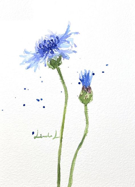 watercolor blue cornflowers Loose Watercolor, Watercolor Blue, Flower Watercolor, Watercolor Sketchbook, Watercolor Flower Art, Still Life Art, Cornflower Blue, Blue Watercolor, How To Paint