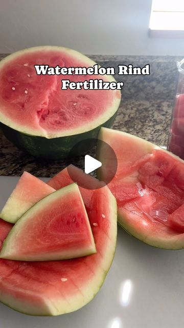 Tiff | Home & Lifestyle + DIY on Instagram: "Did you know this? 🍉 

The leftover rinds of a watermelon are great to add to your compost.  They’re a rich source of nutrients, including nitrogen, calcium, potassium, trace minerals, and fiber. They will had moisture to your soil and it’s an eco friendly way to feed your garden and have zero waste 😍

Be sure to save this for later and send it to your gardening friends! Here’s how to use them up to the last scrap ⬇️ 

🍉 chop up leftover watermelon rinds 
🍉 let them soak covered in water for 24-48 hours
🍉 drain your watermelon water from the rinds and use it to water your plants. It will be rich in nutrients! 
🍉 take your rinds and toss them into your compost pile ( worms will love the rinds too 🪱 ) 

( shout out to Alyssa at @pmucrew_  f Leftover Watermelon, Watermelon Water, Compost Pile, Watermelon Rind, Be Rich, Trace Minerals, Peeling Potatoes, Plant Food, Earth Friendly