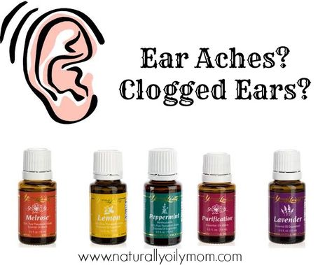 Clogged Ear Remedy, Oils For Ear Ache, Oil For Cough, Ear Aches, Clogged Ears, Ear Oil, Living Oils Recipes, Ear Ache, Essential Oil Remedy