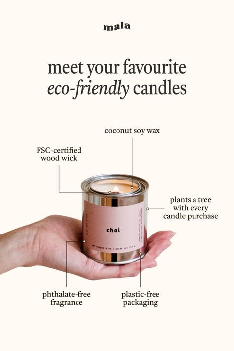 An amazing smelling candle that is non toxic & plants a tree with every purchase.🕯️ Scented Candle Content Ideas, Candle Launch Ideas, Candle Business Marketing, Candle Ads Creative, Candle Promo Ideas, Candle Infographic, Candles Advertising, Candle Marketing Ideas, Candle Content Ideas