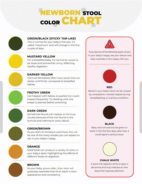 A Newborn Stool Color Chart template helps parents track their baby’s stool colors to spot potential health concerns early.  Designed by @wordlayouts Newborn Stool Chart, Newborn Care Cheat Sheet, Newborn Growth Spurts Chart, Newborn Charts Printable, Helpful Newborn Charts, Baby Cheat Sheets, Newborn Guidelines, Helpful Baby Charts, Newborn Cheat Sheet