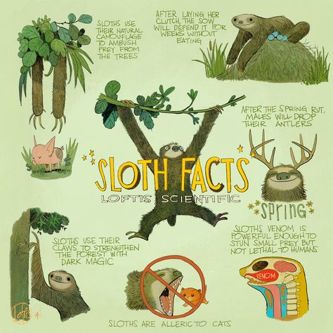 Cory Loftis, Sloth Facts, Sloth Birthday, Sloth Life, Sloth Art, Friends Illustration, Sloth Lovers, Baby Sloth, Cute Sloth