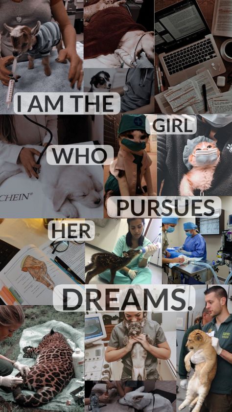 Vet Tech Motivation, Veterinarian Aesthetic Collage, Vet Motivational Quotes, Veterinary Medicine Student Aesthetic, Vet Technician Aesthetic, Travel Vet Aesthetic, Vet College Aesthetic, Vet Tech Astethic, Animal Vision Board