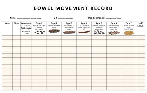 Bowel Movement Chart Color, Pee And Poo Potty Chart, Dog Feeding Chart Printable, Poop Chart For Kids, Bowel Movement Chart, Vital Signs Chart, Pet Health Record Printable Free, Bristol Stool Chart, Stool Chart