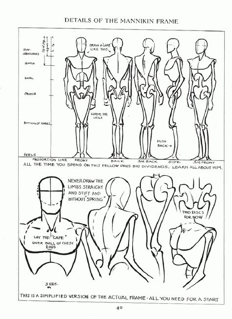 Andrew Loomis - Figure Drawing for All Its Worth Figure Drawing Tutorial, Andrew Loomis, Male Figure Drawing, Anatomy Tutorial, Human Anatomy Drawing, Human Figure Drawing, Human Anatomy Art, Human Drawing, Anatomy Sketches