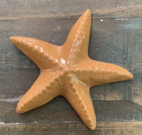 Ceramic Rattle Ideas, Starfish Ceramics, Ceramic Sea Creatures, Ceramic Stingray, Stingray Ceramic, Starfish Pottery, Clay Starfish, Starfish Sculpture, Ceramic Starfish