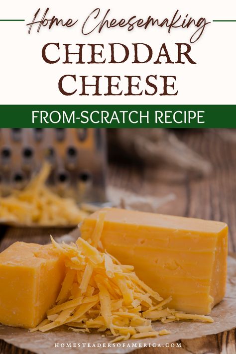 How To Make Cheddar Cheese, Diy Cheddar Cheese, Sharp Cheddar Cheese Recipes, Homemade Cheese Recipes, Homemade Cheddar Cheese, Easy Homemade Cheese, Cheese Recipes Homemade, Cheddar Cheese Recipes, Cheese Making Recipes