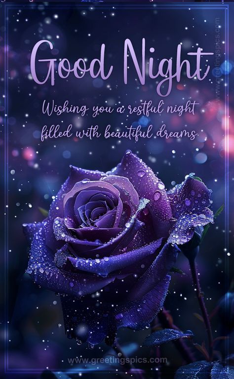 Good Night Wishes Image with beautiful purple rose Wishing You A Good Night, Beautiful Good Night Images With Quotes, Good Night Wishes Images, Christmas Tree At Night, Inspirational Good Night Messages, Goodnight Beautiful, Beautiful Good Night Messages, Goodnight Images, Good Night Blessings Quotes