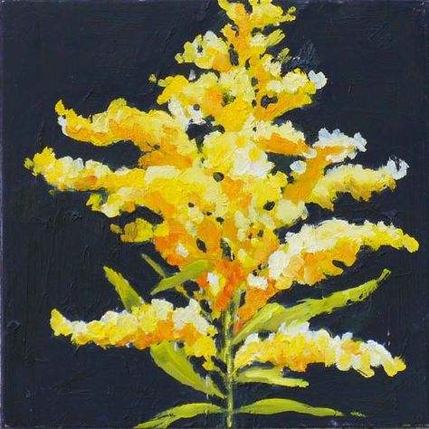 Goldenrod Painting, Yellow Flower Painting, American Bungalow, Goldenrod Flower, Journal Sketches, Kentucky Art, Bungalow Cottage, Flower Still Life, Goldenrod Yellow