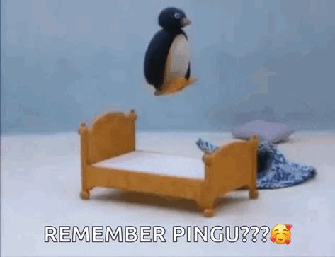 Pingu Jumping On Bed GIF - Pingu Jumping On Bed Bed - Discover & Share GIFs Pingu Memes, Pingu Pingu, Playlist Covers Photos, 웃긴 사진, Cartoon Memes, Cute Memes, Meme Faces, Reaction Pictures, Cute Icons