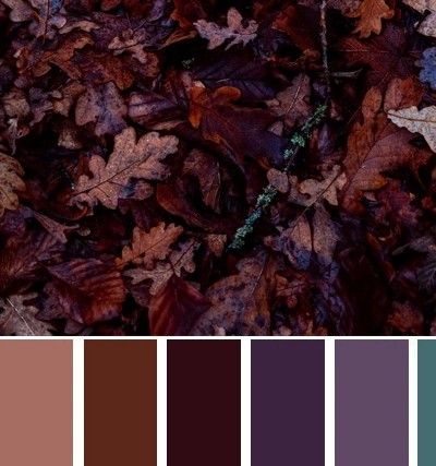 Dark Purple Bedroom Walls, Plum Color Palettes, Dark Purple Color Palette, Purple Bedroom Walls, Plum Color Scheme, Bronze Color Palette, Plum Color Palette, Maroon Color Palette, Purple Living Room Ideas