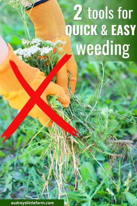 Weeds are a problem that every gardener faces but luckily with these two tools you can get rid of them quickly and easily! Pulling weeds by hand can get pretty difficult over time so be sure to watch this video where I demonstrate my two favorite gardening tools for weeding! Pulling Weeds Hack, How To Pull Weeds Easily, Weeding Tools For Garden, Garden Weeder Tool, Garden Weeding Tools, Compact Garden, Weeder Tool, Pulling Weeds, Lawn Tools