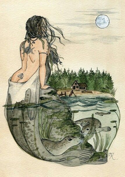 Selkie Mermaids And Mermen, Mermaid Life, Mermaid Art, A Mermaid, Magical Creatures, Sirens, A Rock, Grimm, A Drawing