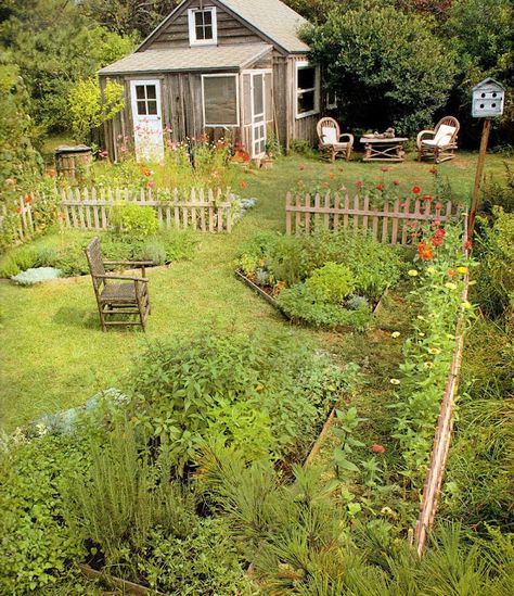 A Small House, Cottage Garden Design, Beautiful Cottages, Backyard Inspiration, Have Inspiration, The Secret Garden, Little Cottage, Garden Layout, Garden Cottage