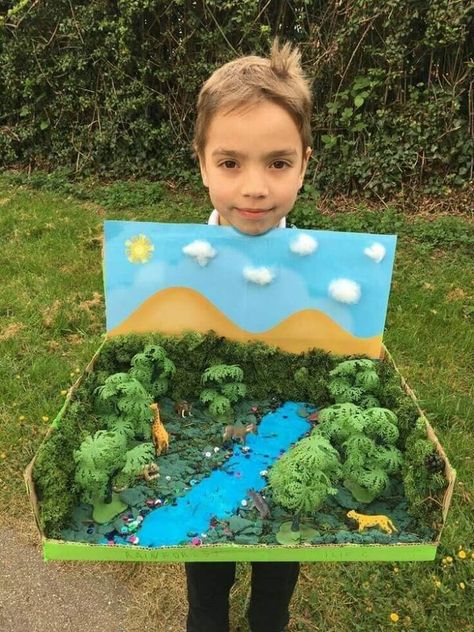 Animal Project Ideas, Rainforest Project Ideas, Rainforest Ecosystem Project Ideas, Nature 3d Art, Rainforest Projects For Kids, Habitats Diorama, Ecosystem Art, Rainforest Diorama, Ecosystem Project