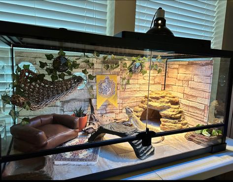 Pretty Reptile Enclosure, Best Bearded Dragon Enclosure, Lizard Tank Ideas Diy Bearded Dragon, Modern Reptile Enclosure, Cool Gecko Tanks, Gecko Cage Setup, Breaded Dragon Enclosure, Bearded Dragon Aesthetic Tank, Cool Leopard Gecko Tanks