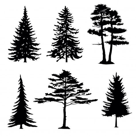 Coniferous trees silhouettes, collection | Premium Vector #Freepik #vector #infographic #christmas #tree #wood Pyrography Trees, Silhouette Arte, Tree Silhouette Tattoo, Coniferous Trees, Silhouette Tattoos, Conifer Trees, Vector Trees, Wood Burning Crafts, Wood Burning Patterns