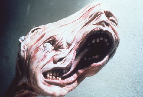 "The Thing" movie still, 1982.  Of the film's $15 million budget, $1.5 million was spent on Rob Bottin's creature effects, a mixture of chemicals, food products, rubber, and mechanical parts turned by his large team into an alien capable of taking on any form. The Thing 1982, John Carpenter, Motion Graphics Design, Scary Art, Movie Monsters, Monster Art, Creature Design, The Thing, Horror Films