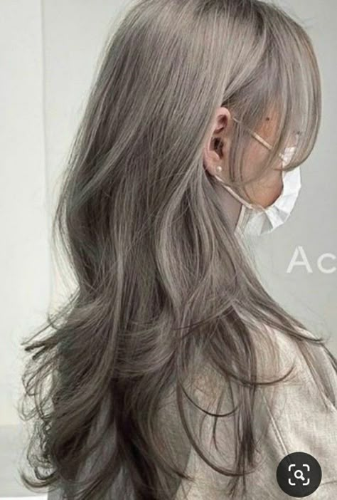 Pinkish Grey Hair, Milktea Ash Gray Balayage, Ashy Silver Blonde Hair, Light Brown Grey Hair, Grey Brown Hair Color, Grey Wolf Cut, Milktea Hair Color, Asian Grey Hair, Pale Ash Blonde Hair