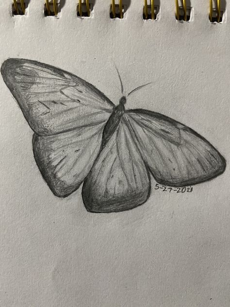 Cute Butterfly Sketch, Butterflies Drawings Easy, Two Butterflies Drawing, Sketch Ideas Butterfly, Butterfly Sketch Ideas, Butterfly Drawing Reference, Art Sketches Butterfly, Natural Forms Drawings, Butterfly Sketch Easy