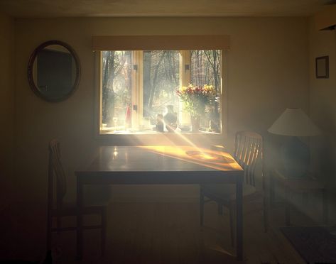 Visible Light: Artist Alexander Harding Reveals Dense Rays of Sunlight Pouring through Windows Through A Window, Light Images, Window Light, Visible Light, Morning Light, Light Photography, Light And Shadow, A Cat, Stranger Things