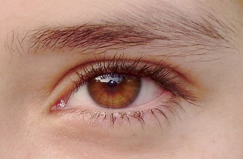 Honey-colored eye / Color de miel | Flickr - Photo Sharing! Brown Eyes Aesthetic, Honey Eyes, Beautiful Eyes Color, Amber Eyes, Long Eyelashes, Beautiful Brown Eyes, Brown Eye, Corte De Cabelo Masculino, Eye Photography