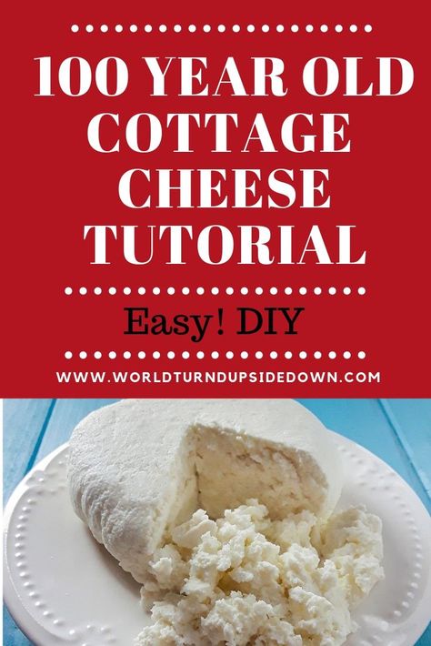 Make your own Cottage Cheese. Simple DIY, vintage recipe from 100 years ago! Cottage Cheese Diy How To Make, Making Cottage Cheese, Make Cottage Cheese At Home, Make Your Own Cottage Cheese, Diy Cottage Cheese Homemade, Making Cottage Cheese At Home, How To Make Cottage Cheese Homemade, Homemade Cottage Cheese Recipes, Home Made Cottage Cheese Recipes