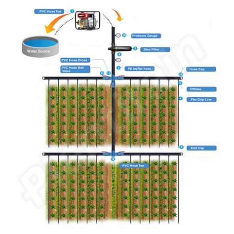 1 Hectare Design Agricultural Drip Irrigation System https://m.alibaba.com/product/60699170299/1-Hectare-Design-Agricultural-Drip-Irrigation.html?__sceneInfo={"cacheTime":"1800000","type":"appDetailShare"} Drip Tape, Drip Irrigation System, Water Reservoir, Drip Irrigation, Water Sources, Water Saving, Pressure Gauge, Pvc Pipe, Irrigation System