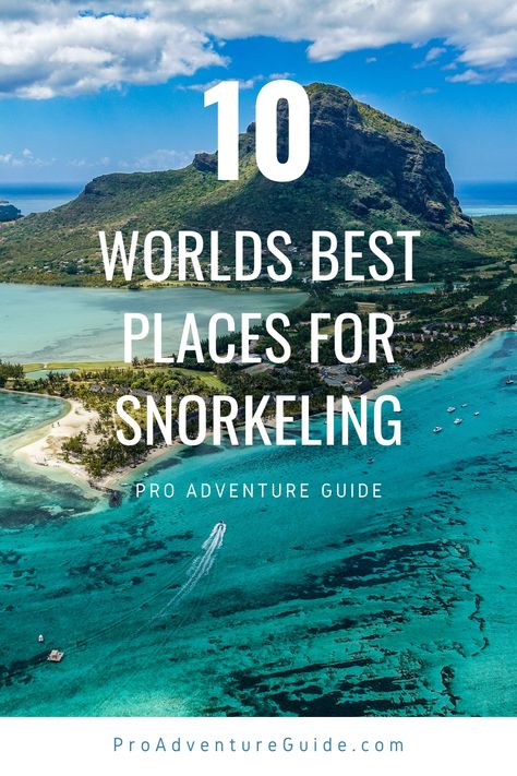 The 10 best places in the world to go snorkeling Best Snorkeling In The World, Snorkeling In Hawaii, Tide Pooling, Best Places To Snorkel, Hawaii Snorkeling, Best Places In The World, Visit Maldives, Beach Destinations, Best Snorkeling