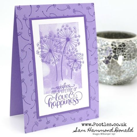 Colour Coordination, Dandelion Wishes, The Dandelion, Purple Cards, Dandelion Wish, Stampin Up Catalog, Wedding Anniversary Cards, Stamping Up Cards, Get Well Cards