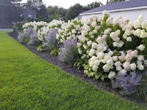 Crafting Gardens: The Essence of Landscape Design Hydrangea Landscaping, Flower Garden Plans, Front Yard Garden Design, Front Landscaping, Hair Prom, Have Inspiration, Front House Landscaping, Outdoor Gardens Design, Home Landscaping