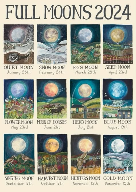 Full Moon Calendar, Cold Moon, Magia Das Ervas, Moon Journal, Witch Spirituality, Moon Calendar, Witch Spell Book, Green Witch, Harvest Moon