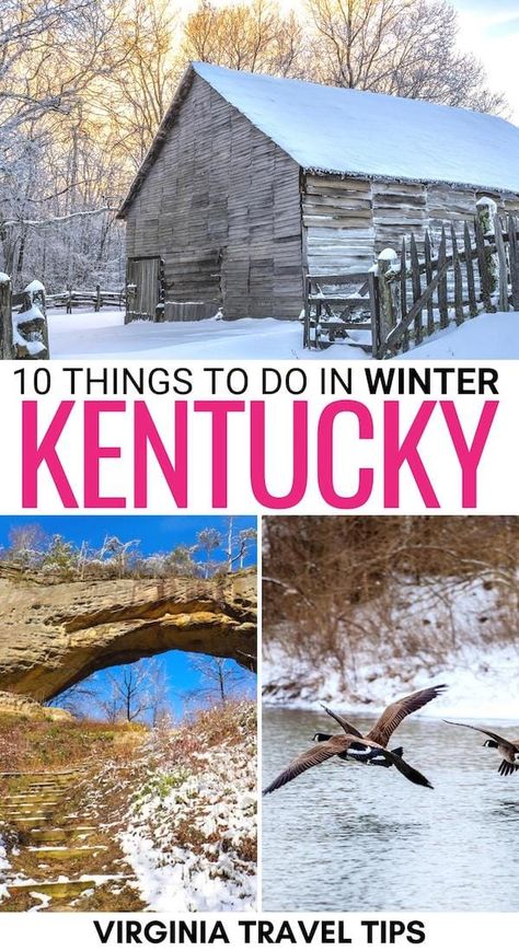 Things To Do In Kentucky Places To Visit, Bardstown Kentucky Christmas, Christmas In Kentucky, Lexington Kentucky Things To Do, Cumberland Falls Kentucky, Things To Do In Kentucky, Visit Kentucky, Williamstown Kentucky, Travel Kentucky