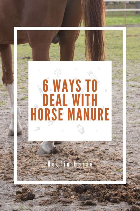 Let’s face it; if you have more than one horse, you get many pounds of manure in a day, right? But what can you do with a load of horse waste? Here, we’ll take you through what to do with horse manure to help you in the excellent management of your farm. https://www.hoofinhorse.com/what-to-do-with-horse-manure/ Horse Manure Management, Horse Guide, Manure Management, Horse Grooming Kit, Horse Riding Shirt, Horse Riding Helmets, Horse Manure, Concrete Pad, Horse Grooming