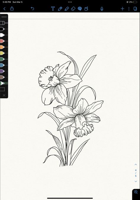 Daffodil Outline Drawing, Bunch Of Daffodils Tattoo, Daffodil Tattoo Outline, Poppy And Narcissus Flower Tattoo, Daffodil Botanical Illustration, Daffodils Sketch, Narcisse Flower, Dafodill Flowers Drawing, Daffodil Line Drawing