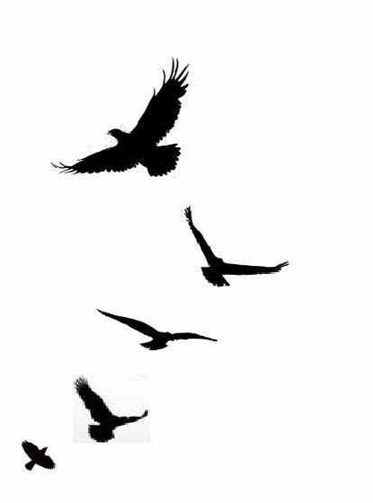 Bird Silhouette Tattoos, Mundo Hippie, Bird Tattoo Men, Vogel Silhouette, Black Bird Tattoo, Flying Bird Tattoo, Half Sleeve Tattoos Drawings, Flying Tattoo, Small Bird Tattoo