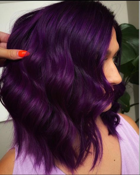 Eggplant Colored Hair, Eggplant Hair, Red Hair Styles, Violet Hair Colors, Hair Color Plum, Hair Styles Braids, Pulp Riot Hair Color, Magenta Hair, Dark Purple Hair