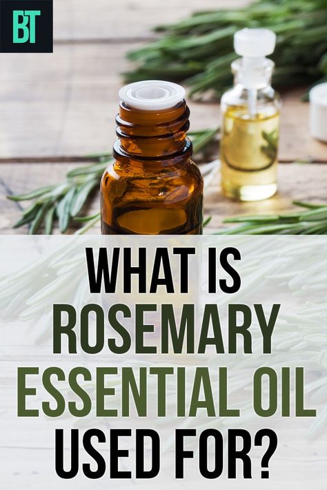 Rosemary Essential Oil Benefits, Uses Of Rosemary, Uses For Rosemary, Rosemary Water, Rosemary Oil For Hair, Improve Your Memory, Rosemary Essential Oil, Great Health, Essential Oils For Skin