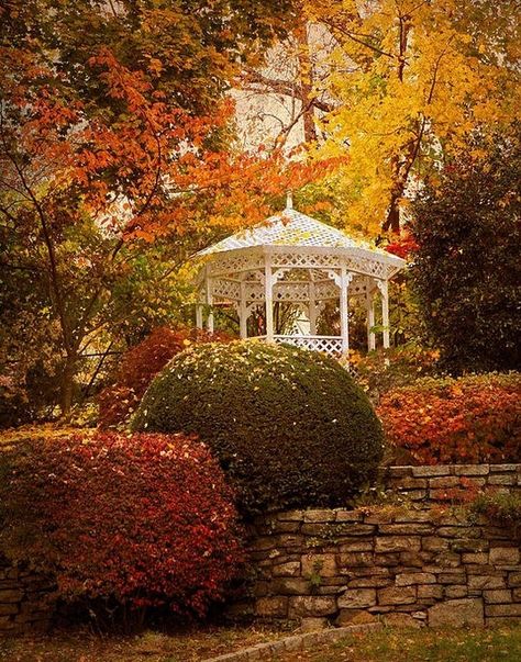 Tara Fall Images, Autumn Foliage, Garden Gazebo, Autumn Scenes, Autumn Scenery, Seasonal Garden, Harvest Season, Autumn Beauty, Holiday Food