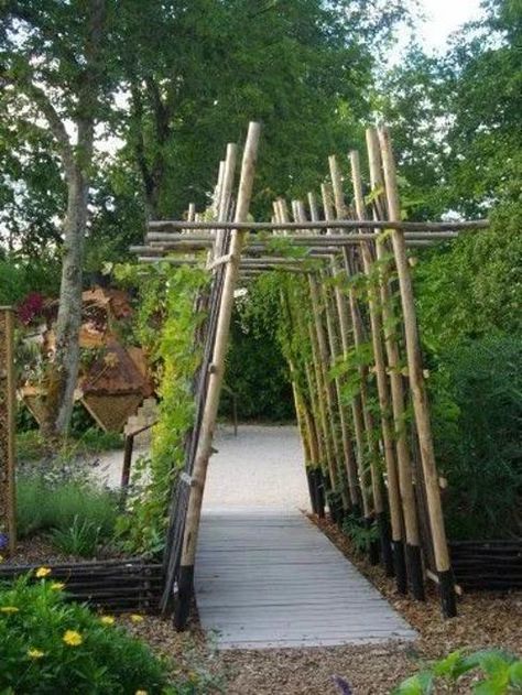 33 DIY Arbors, Trellises, Garden Obelisks for Climbing Plants, Creative Recycling for Yard Decorations Diy Arbour, Garden Obelisk, Garden Arbor, Yard Decorations, Garden Types, Vegetable Garden Design, Garden Trellis, Garden Bed, Climbing Plants