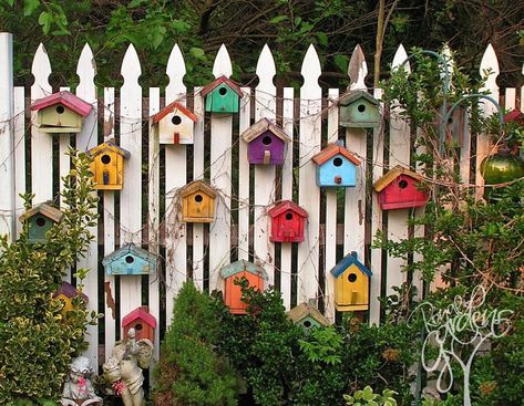 Milk Paint, Wooden Bird Houses, White Picket Fence, Colorful Bird, Wooden Bird, Picket Fence, The Fence, Nature Paintings, Happy Campers