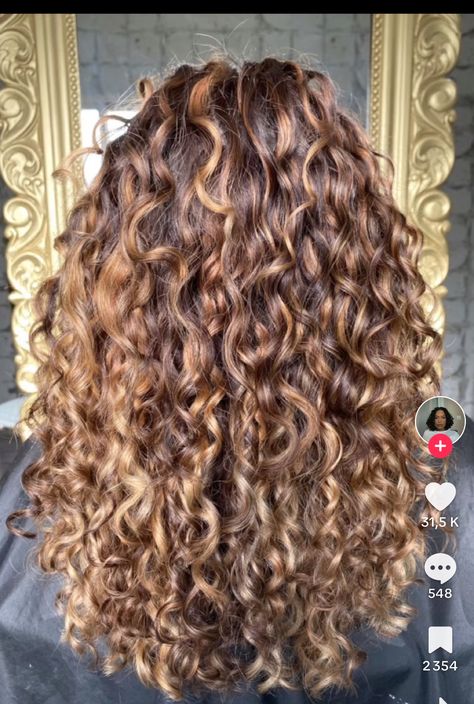 Highlights On Long Curly Hair, Light Brown On Curly Hair, Soft Brown Curly Hair, Golden Highlights Curly Hair, Curly Hair With Copper Highlights, Balayage Curly Hair Brunettes, Honey Brown Curls With Highlights, Blonde Balayage On Dark Hair Curly, Curly Hair With Light Brown Highlights