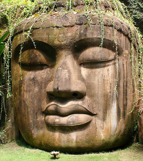 The Olmec Buddha Mexican Gods, Art Premier, Ancient Mysteries, African Diaspora, Art Antique, African History, Ancient Aliens, Ancient Artifacts, Ancient Cultures