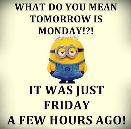 Tomorrow Is Monday!?! tomorrow is monday monday quotes monday Funny Sunday, Quotes Funny Humor, Sunday Humor, Monday Humor Quotes, Sunday Quotes Funny, Minion Humor, Tomorrow Is Monday, Friday Quotes Funny, Monday Humor