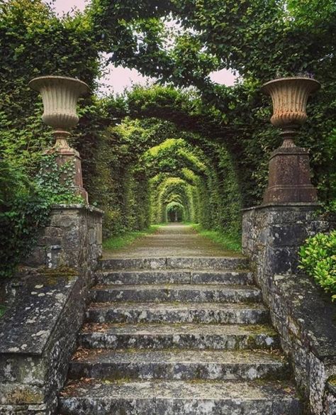 EUROPEAN ANTIQUES on Instagram: “O L D world charm Serene and romantic - the formal garden at Birr Castle via @stingrayting.⁠ *⁠ *⁠ *⁠ #birrcastle #birr #offaly…” Victorian Backyard, Victorian Gardens, Garden Posts, Victorian Garden, Palace Garden, Garden Urns, Formal Garden, Castle Garden, Water Fountains