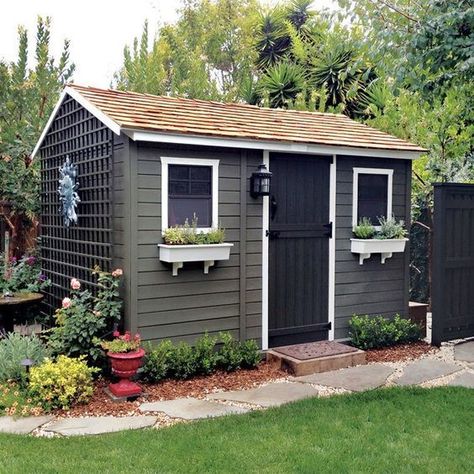 Painted Sheds, Shed Paint Colours, Cedar Storage, Painted Garden Sheds, Shed Exterior Ideas, Lady Lounge, Sheds Ideas Backyard, Outside Sheds, Painted Shed