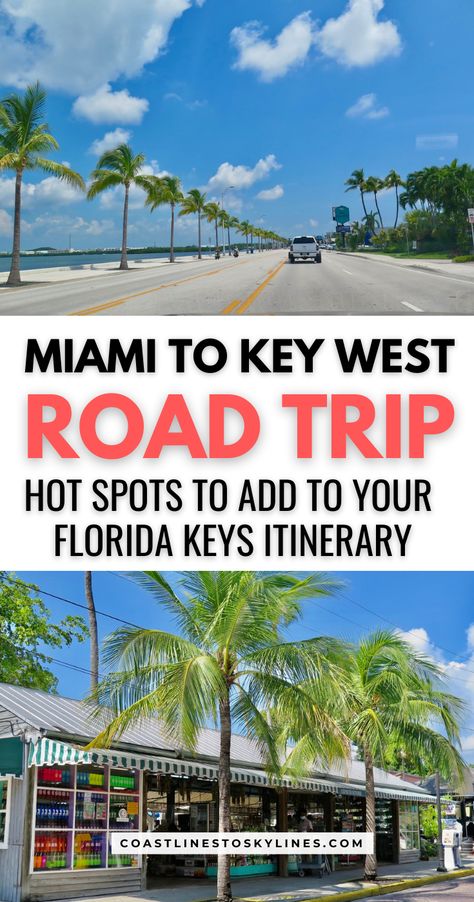 Our Miami to Key West road trip bucket list is packed with places to visit on your road trip to the Florida Keys. Arequipa, Key West Road Trip, West Road Trip, Key West Florida Vacation, Marathon Key, Keys Florida, Miami Key West, Florida Keys Road Trip, Summer Florida