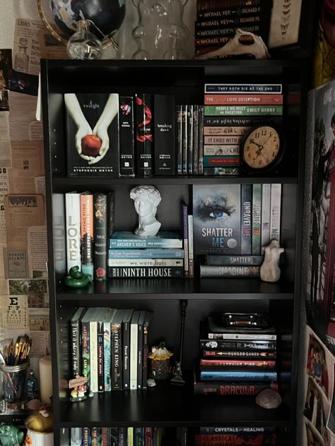 Dark Bookshelves, Bookshelves Aesthetic, Black Bookshelves, Black Bookshelf, Bookshelf Aesthetic, Bookshelf Inspiration, Bookshelf Organization, Dark Home Decor, Book Room