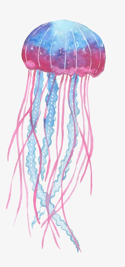 Jellyfish Png, Box Jellyfish, Jellyfish Illustration, Jellyfish Drawing, Pink Drawing, Sea Creatures Art, Pink Jellyfish, Jellyfish Painting, Blue Drawings